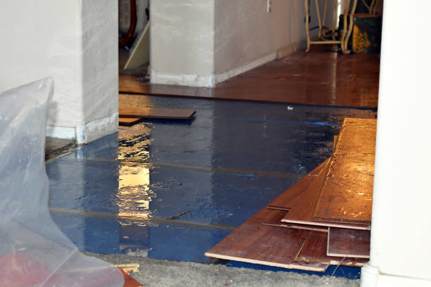 Professional Water Extraction technician working in Corder, MO